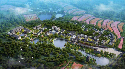 beat·365(正版)-唯一官方网站