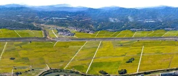 beat·365(正版)-唯一官方网站