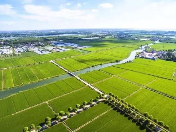 beat·365(正版)-唯一官方网站