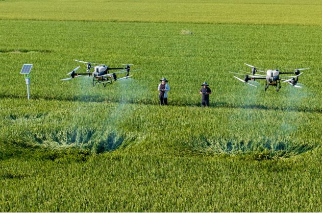 beat·365(正版)-唯一官方网站